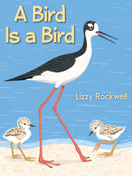 Title details for A Bird Is a Bird by Lizzy Rockwell - Available